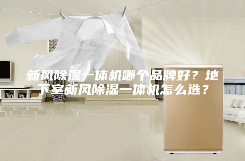 新風(fēng)除濕一體機(jī)哪個(gè)品牌好？地下室新風(fēng)除濕一體機(jī)怎么選？