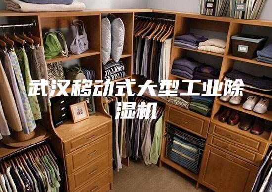 武漢移動式大型工業(yè)除濕機(jī)