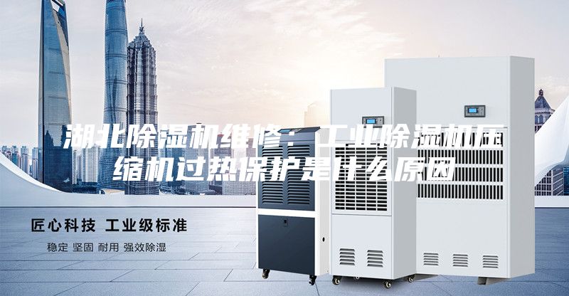 湖北除濕機(jī)維修：工業(yè)除濕機(jī)壓縮機(jī)過熱保護(hù)是什么原因