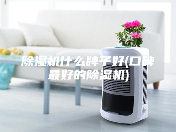 除濕機什么牌子好(口碑最好的除濕機)