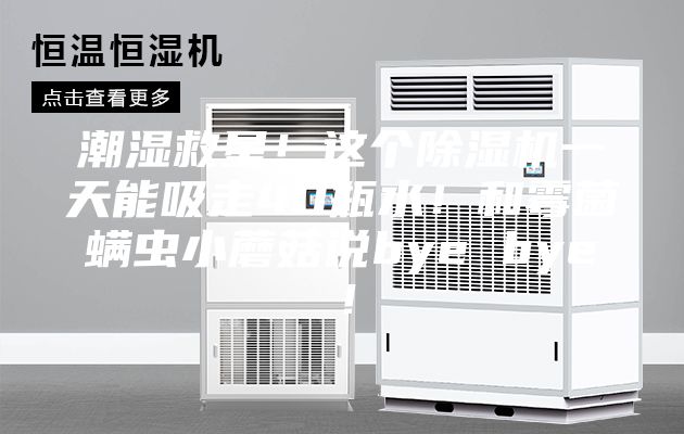 潮濕救星！這個除濕機一天能吸走40瓶水！和霉菌螨蟲小蘑菇說bye bye！