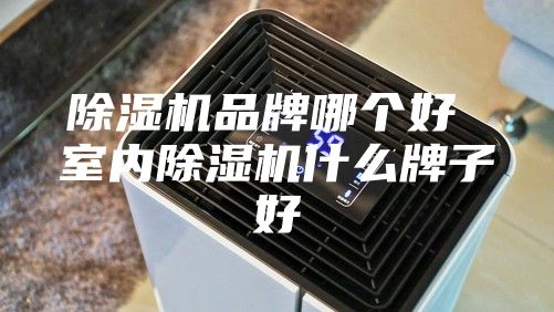 除濕機(jī)品牌哪個(gè)好 室內(nèi)除濕機(jī)什么牌子好