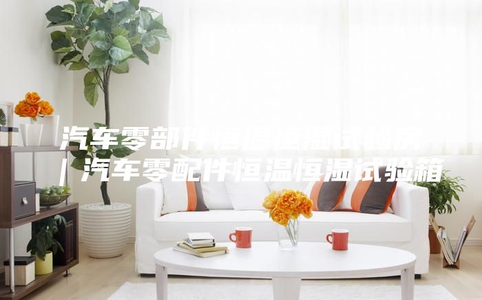 汽車(chē)零部件恒溫恒濕試驗(yàn)房｜汽車(chē)零配件恒溫恒濕試驗(yàn)箱