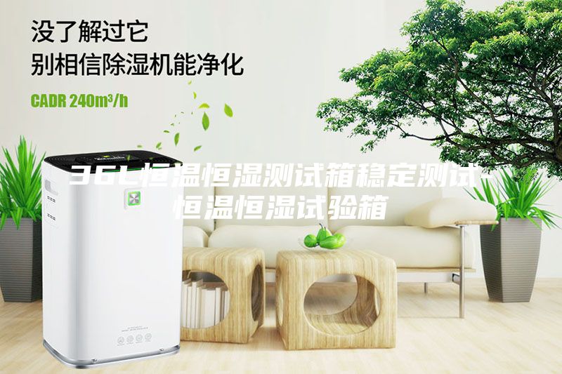 36L恒溫恒濕測(cè)試箱穩(wěn)定測(cè)試-恒溫恒濕試驗(yàn)箱